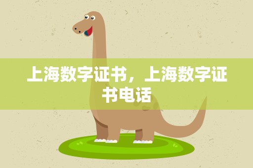 上海数字证书，上海数字证书电话