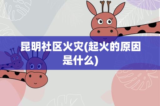 昆明社区火灾(起火的原因是什么)