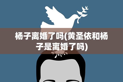 杨子离婚了吗(黄圣依和杨子是离婚了吗)