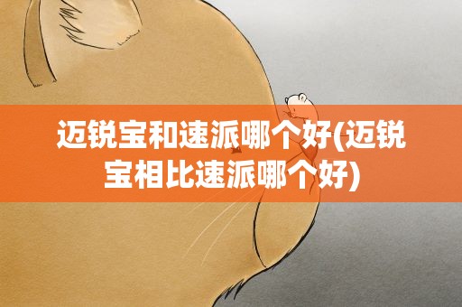 迈锐宝和速派哪个好(迈锐宝相比速派哪个好)