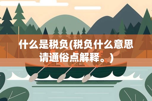 什么是税负(税负什么意思请通俗点解释。)