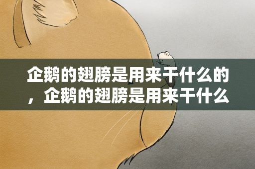 企鹅的翅膀是用来干什么的，企鹅的翅膀是用来干什么的呀