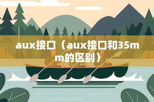 aux接口（aux接口和35mm的区别）