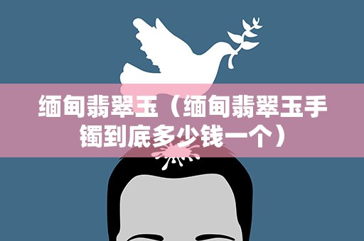 缅甸翡翠玉（缅甸翡翠玉手镯到底多少钱一个）