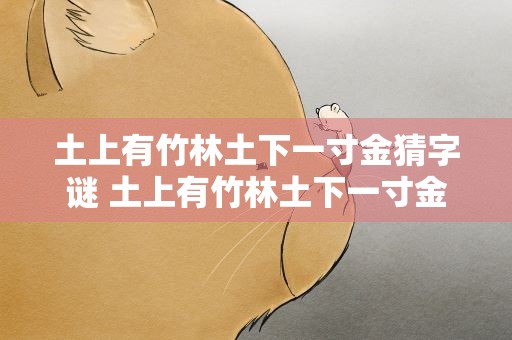 土上有竹林土下一寸金猜字谜 土上有竹林土下一寸金 猜字谜