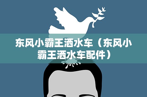 东风小霸王洒水车（东风小霸王洒水车配件）