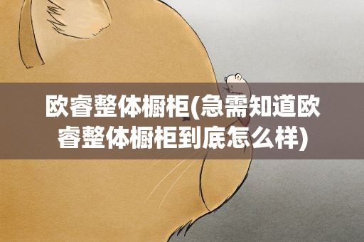 欧睿整体橱柜(急需知道欧睿整体橱柜到底怎么样)