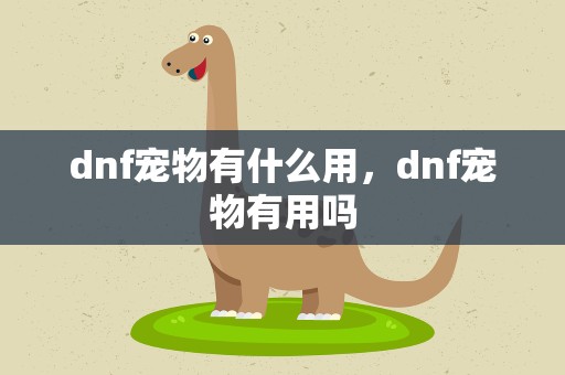 dnf宠物有什么用，dnf宠物有用吗