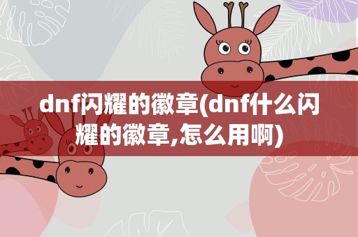 dnf闪耀的徽章(dnf什么闪耀的徽章,怎么用啊)