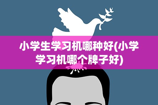 小学生学习机哪种好(小学学习机哪个牌子好)