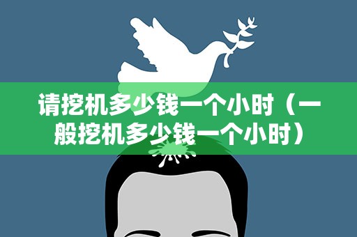 请挖机多少钱一个小时（一般挖机多少钱一个小时）