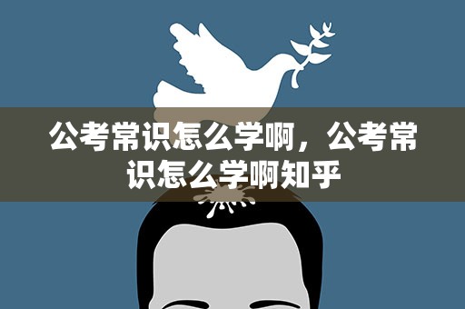 公考常识怎么学啊，公考常识怎么学啊知乎