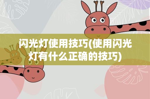 闪光灯使用技巧(使用闪光灯有什么正确的技巧)