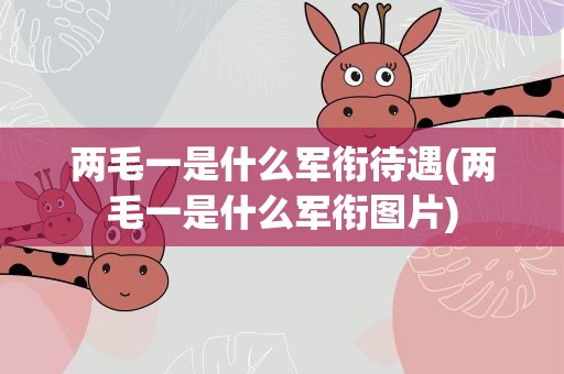 两毛一是什么军衔待遇(两毛一是什么军衔图片)