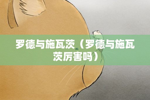 罗德与施瓦茨（罗德与施瓦茨厉害吗）
