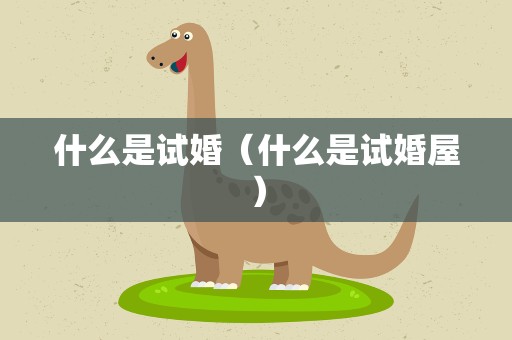 什么是试婚（什么是试婚屋）