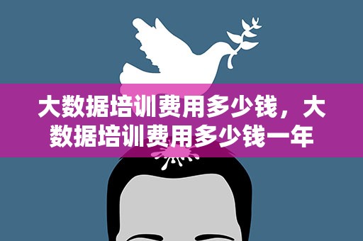 大数据培训费用多少钱，大数据培训费用多少钱一年