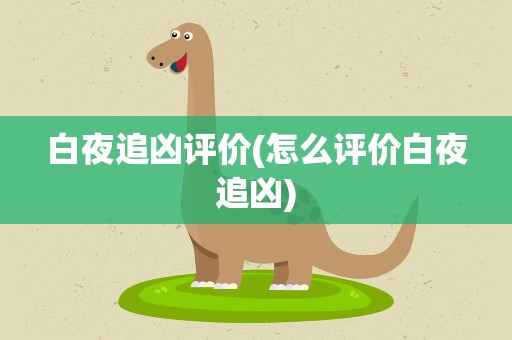 白夜追凶评价(怎么评价白夜追凶)