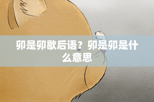 卯是卯歇后语？卯是卯是什么意思
