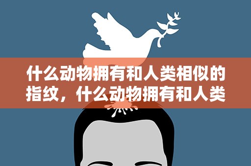 什么动物拥有和人类相似的指纹，什么动物拥有和人类相似的指纹呢