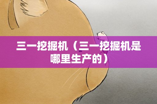 三一挖掘机（三一挖掘机是哪里生产的）