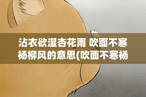 沾衣欲湿杏花雨 吹面不寒杨柳风的意思(吹面不寒杨柳风是什么意思)