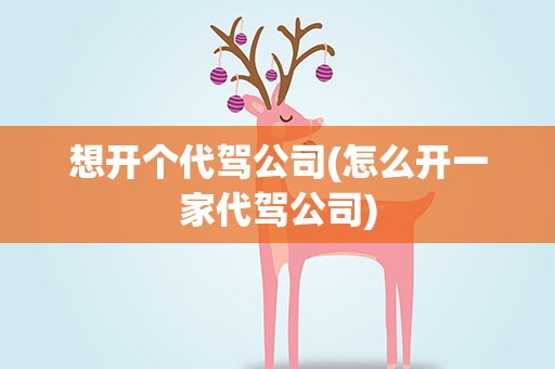 想开个代驾公司(怎么开一家代驾公司)