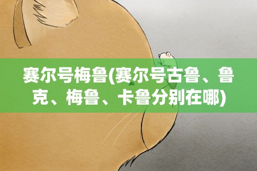赛尔号梅鲁(赛尔号古鲁、鲁克、梅鲁、卡鲁分别在哪)