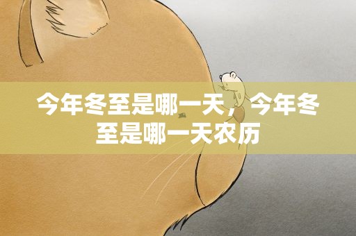 今年冬至是哪一天，今年冬至是哪一天农历