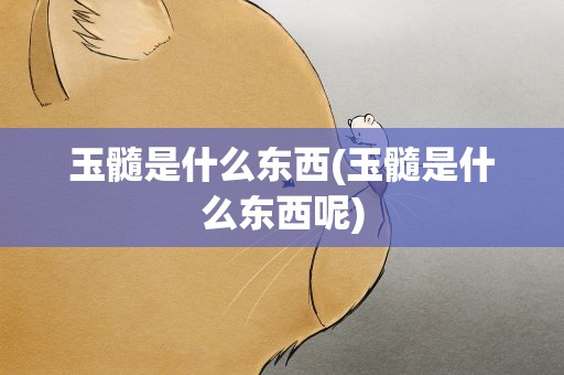 玉髓是什么东西(玉髓是什么东西呢)