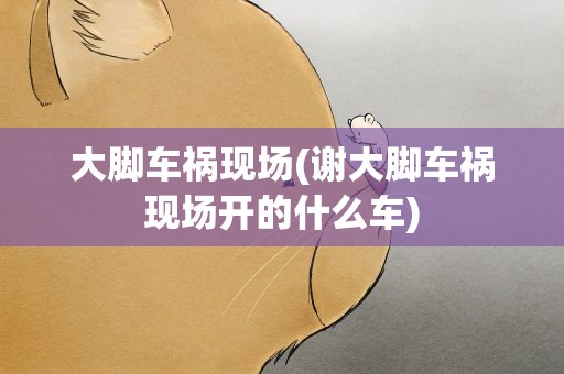 大脚车祸现场(谢大脚车祸现场开的什么车)