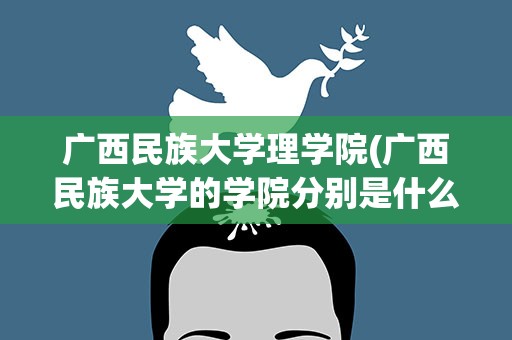 广西民族大学理学院(广西民族大学的学院分别是什么)