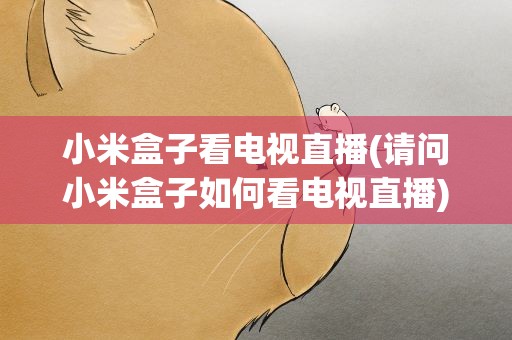 小米盒子看电视直播(请问小米盒子如何看电视直播)
