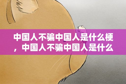 中国人不骗中国人是什么梗，中国人不骗中国人是什么意思