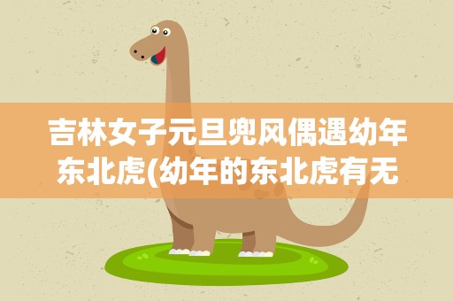 吉林女子元旦兜风偶遇幼年东北虎(幼年的东北虎有无攻击性)