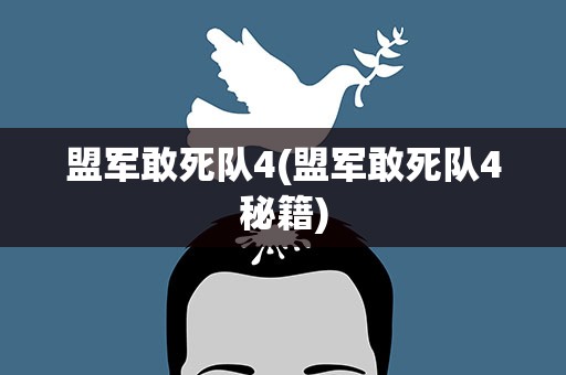 盟军敢死队4(盟军敢死队4秘籍)
