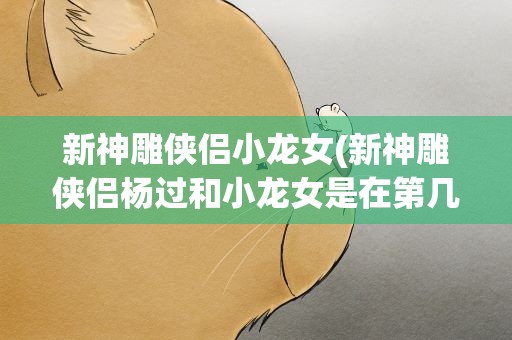 新神雕侠侣小龙女(新神雕侠侣杨过和小龙女是在第几集一起练玉女心经的)