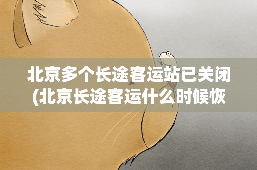 北京多个长途客运站已关闭(北京长途客运什么时候恢复运营)