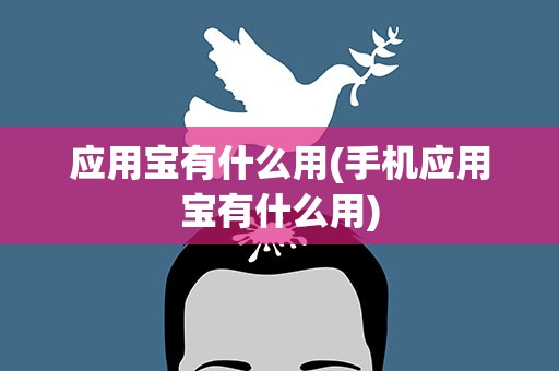 应用宝有什么用(手机应用宝有什么用)