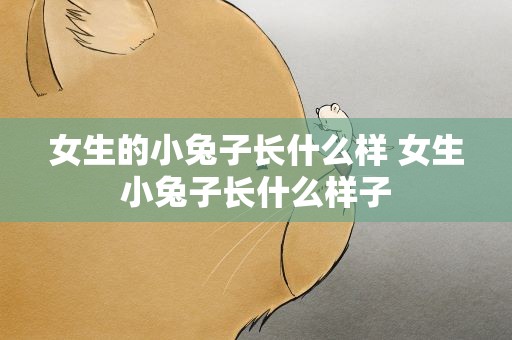 女生的小兔子长什么样 女生小兔子长什么样子