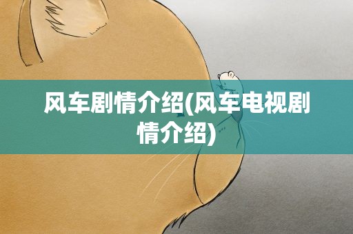 风车剧情介绍(风车电视剧情介绍)