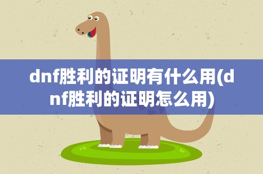 dnf胜利的证明有什么用(dnf胜利的证明怎么用)