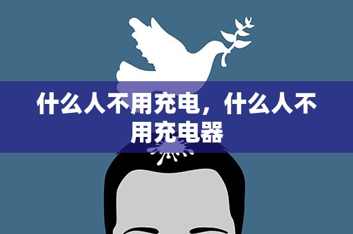 什么人不用充电，什么人不用充电器