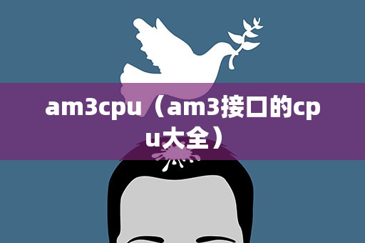 am3cpu（am3接口的cpu大全）