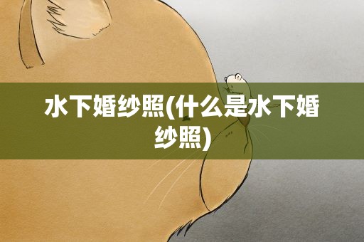 水下婚纱照(什么是水下婚纱照)
