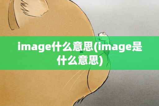 image什么意思(image是什么意思)