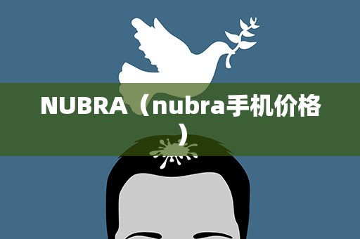 NUBRA（nubra手机价格）