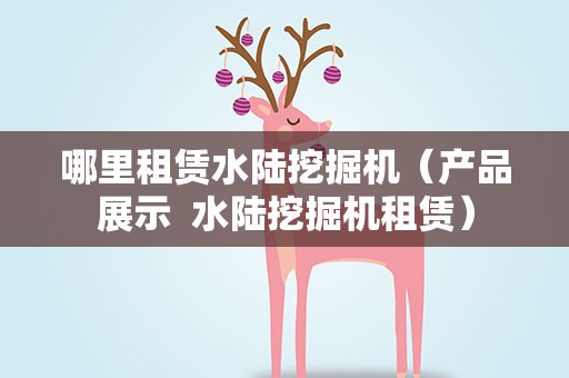 哪里租赁水陆挖掘机（产品展示  水陆挖掘机租赁）