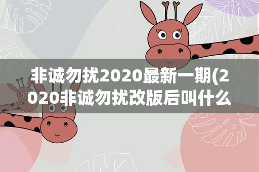 非诚勿扰2020最新一期(2020非诚勿扰改版后叫什么)