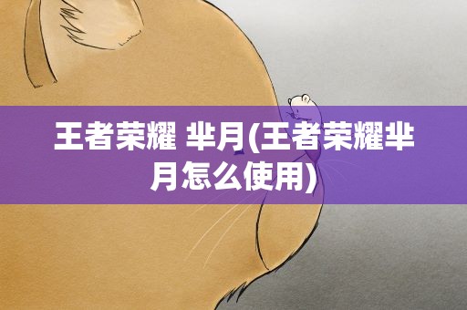 王者荣耀 芈月(王者荣耀芈月怎么使用)